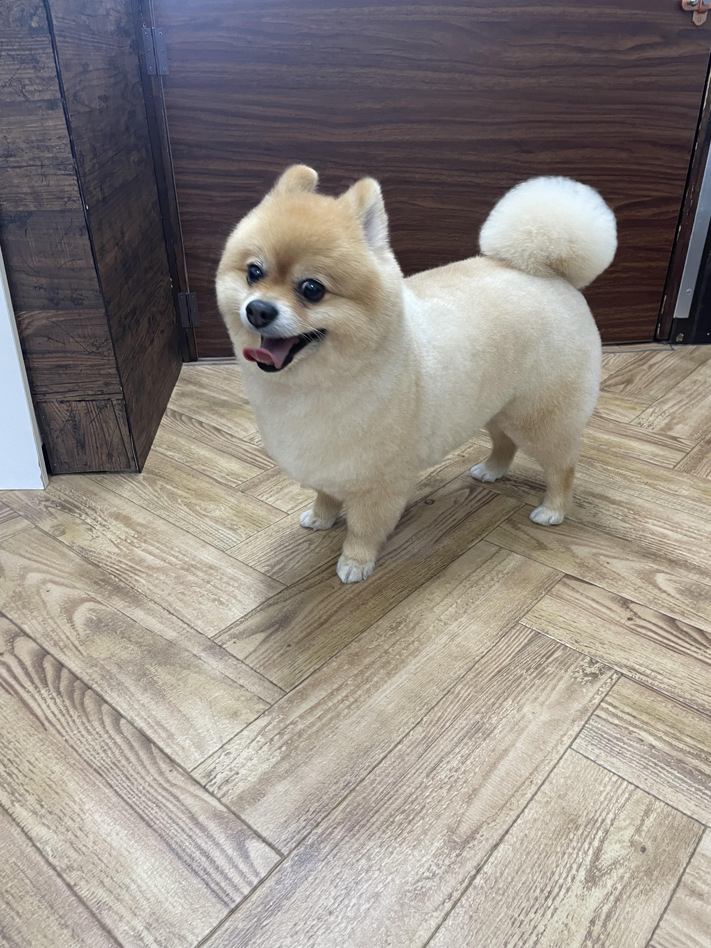 むぎ3