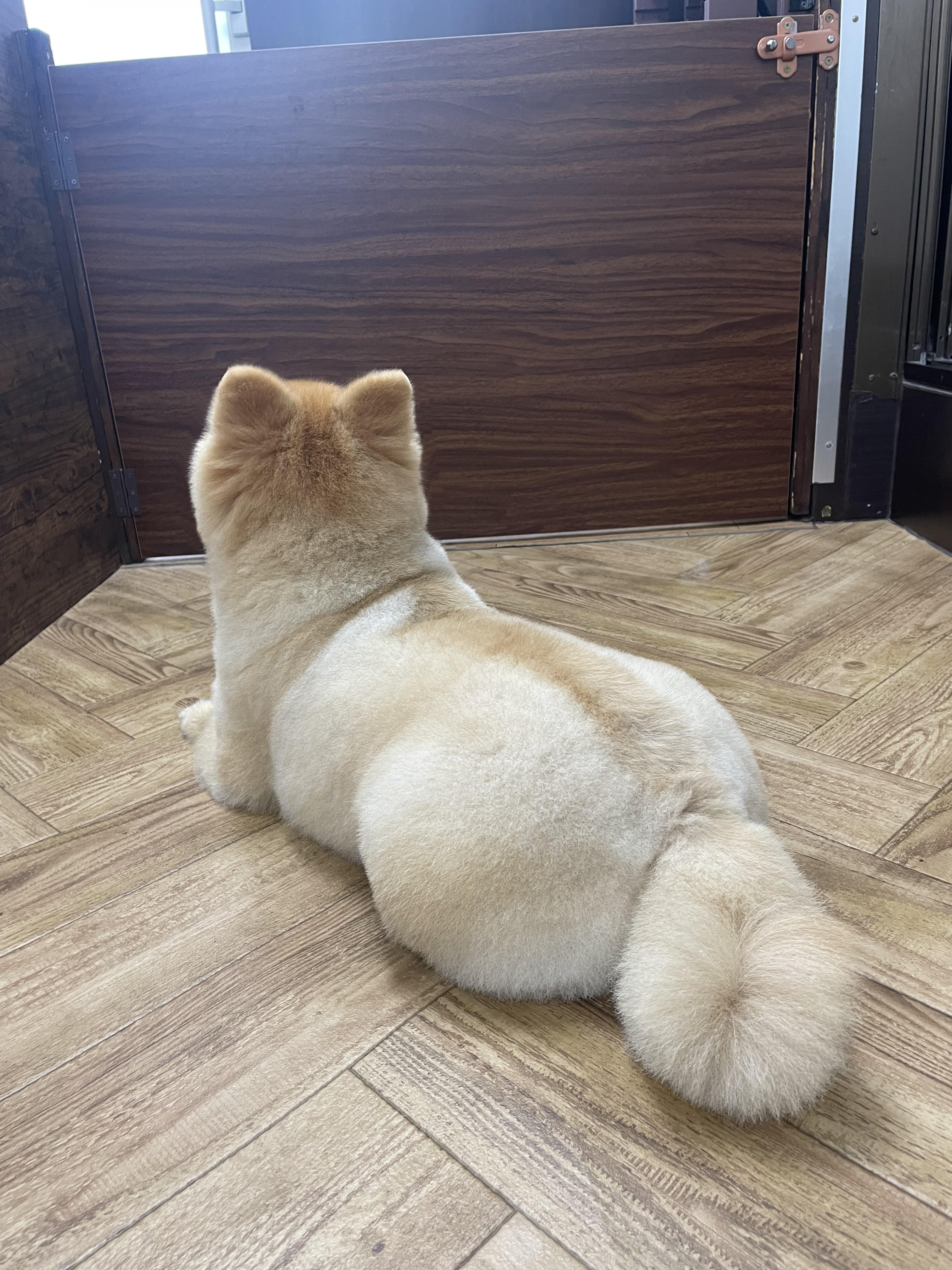 むぎ4