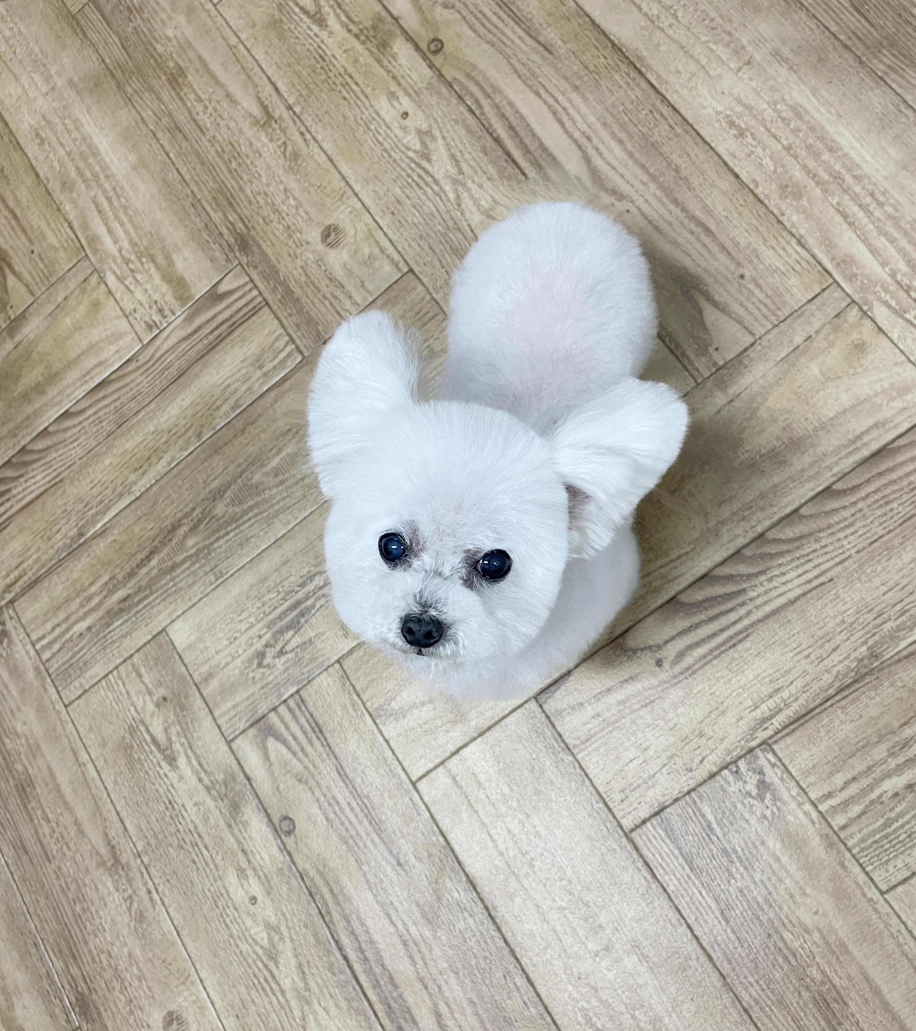 あて3