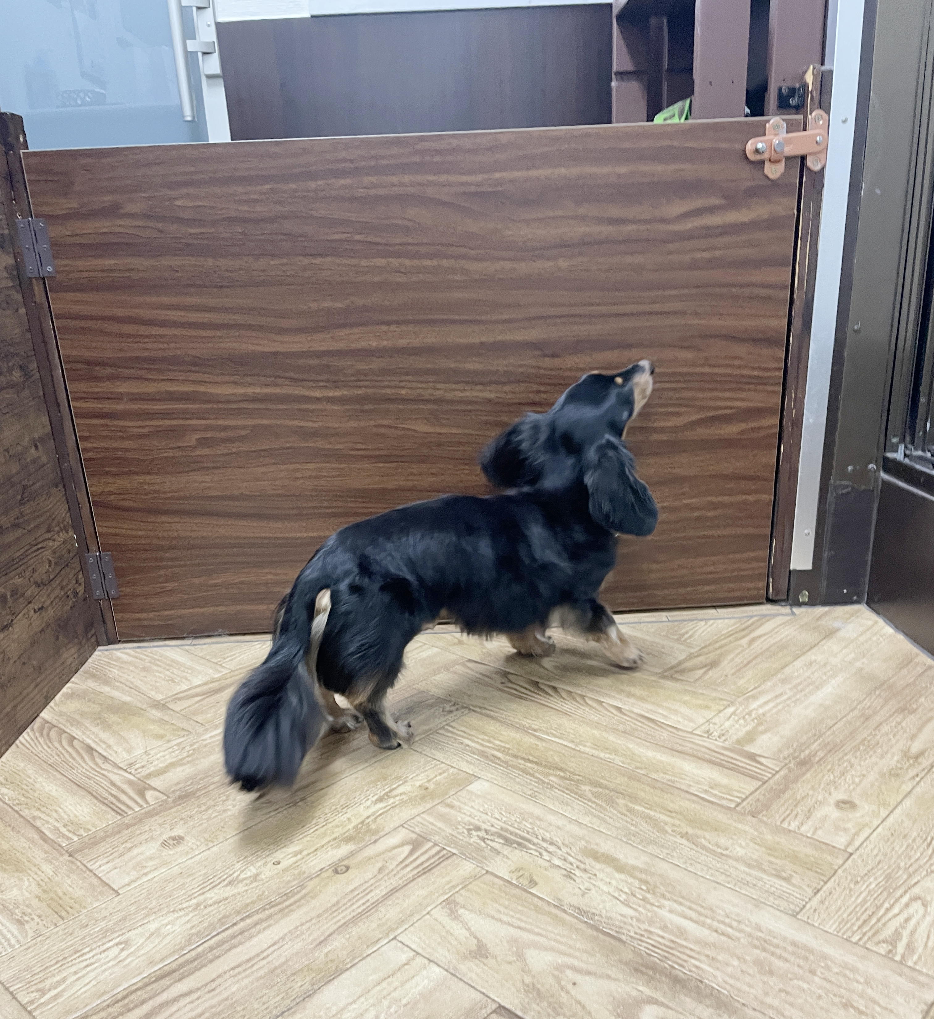 こり3