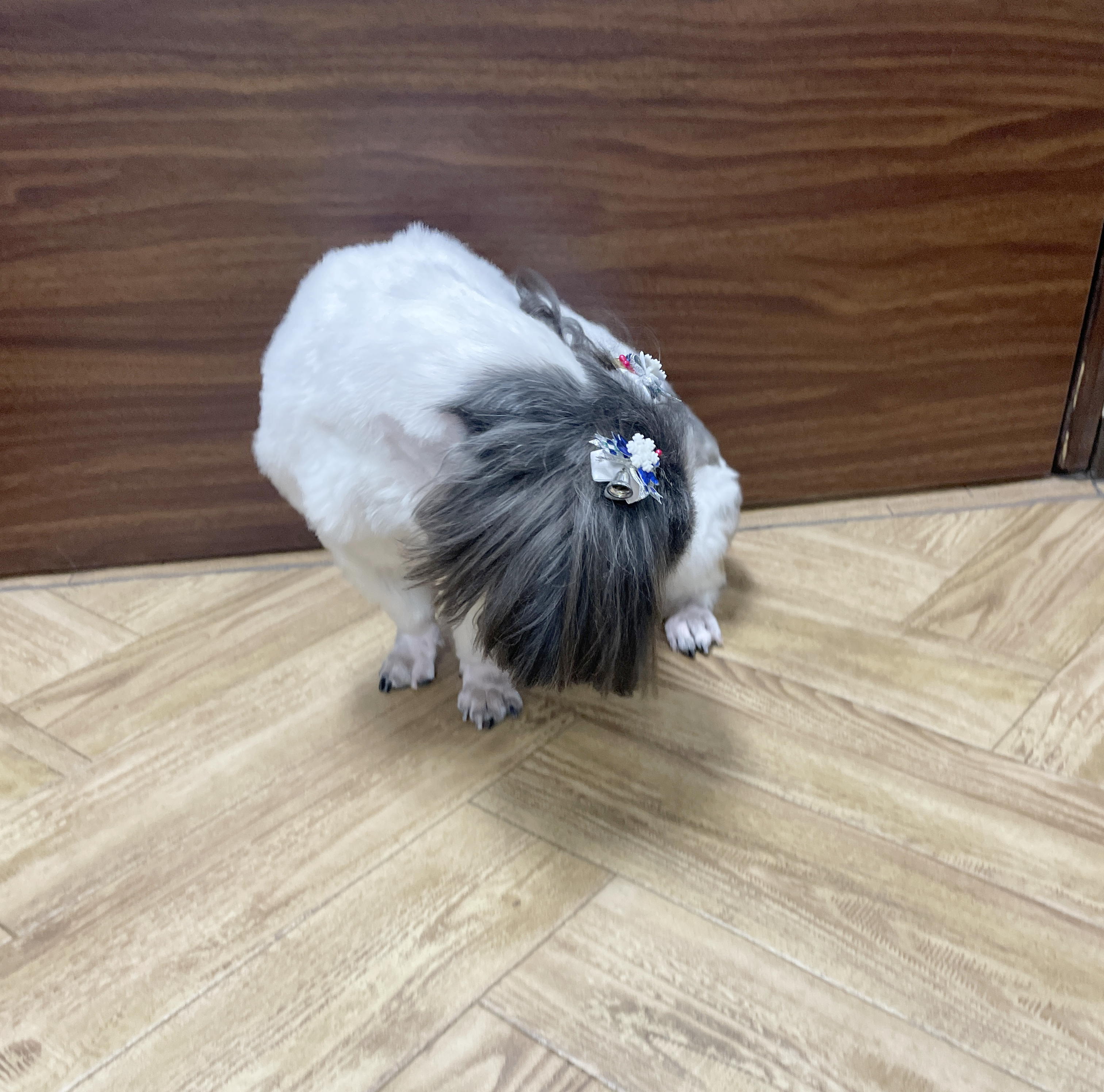 もあ3