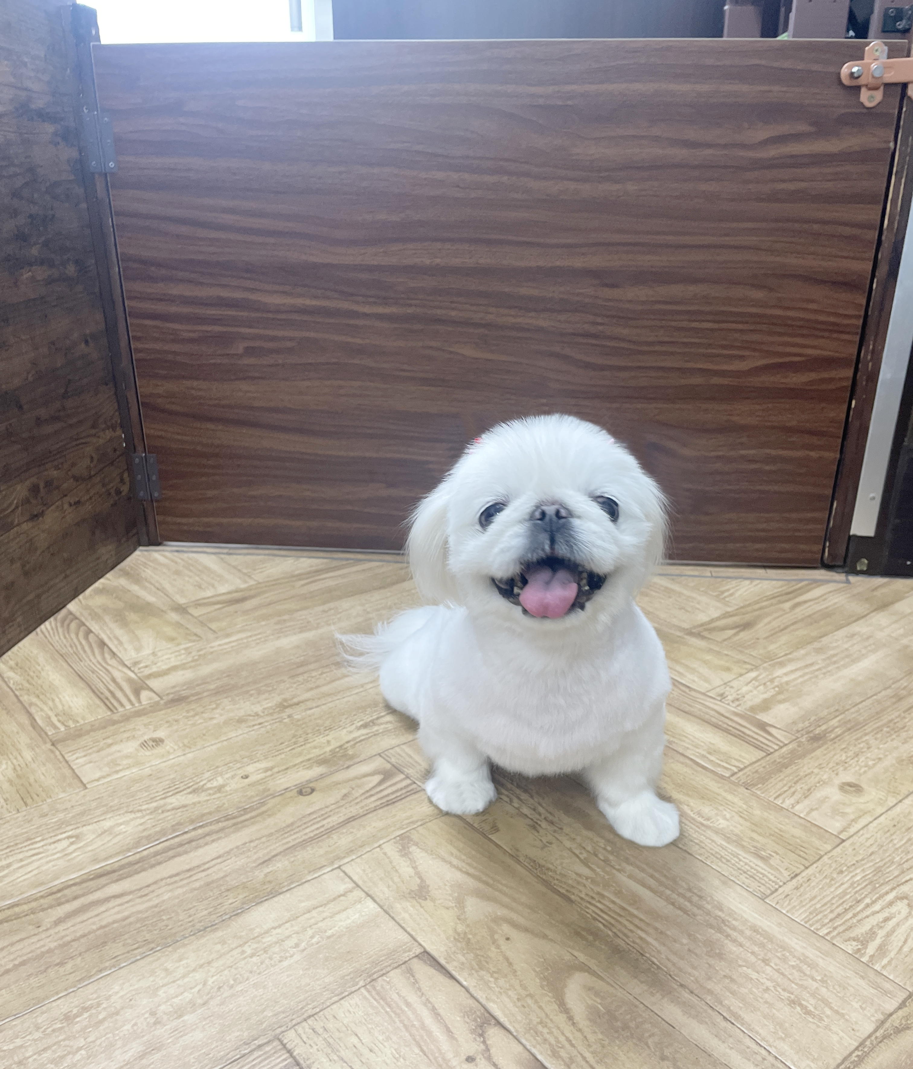 しめ3